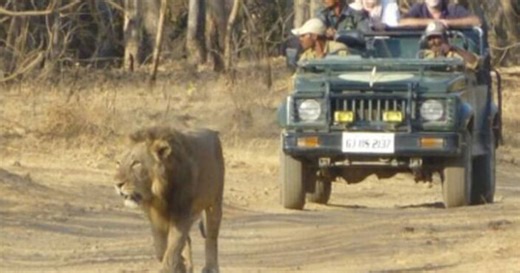 Gujarat among top 3 states visited by foreign tourists since 2024