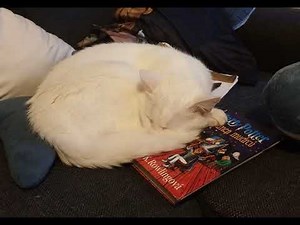 Harry Potter a Kámen mudrců -audiokniha. Kapitola 5 Příčná ulice 1/2
