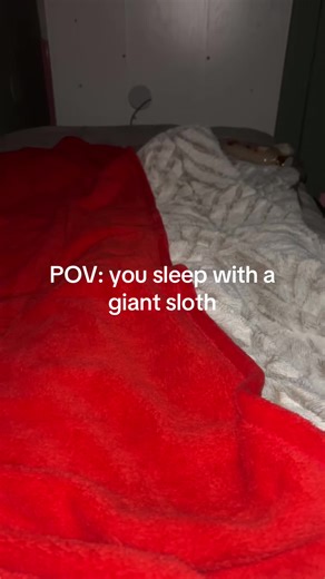 ♥️~Lillyyy~💄 (@lillyrwkpta)’s videos with Nighty night - Bri 🪐