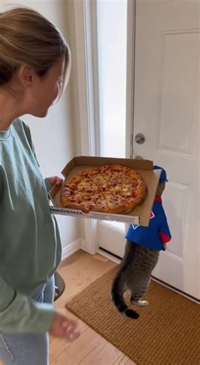 An angry customer complains about their pizza order to a Domino's delivery worker, but there's a twist—the employee is actually a realistic cat in uniform! When the customer gets heated, the cat just meows and casually walks away, leaving the customer speechless. | Funny AI Videos