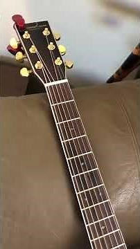 The new Guitar (part 5)