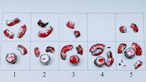 44 Magnum (1360 fps), Large Hollow Point, BHN 8.0, Bare Gel (PC HP Test) - The Reloaders Network