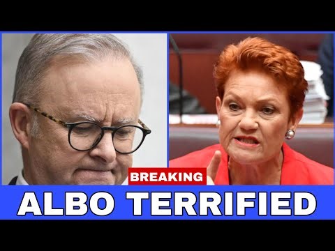 3 MINS AGO! Albanese WET his Pants as Pauline Hanson blast his Pathetic Response to the Bondi Attack