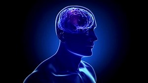 From neurons during synapsis to a human head. Loopable. Biology