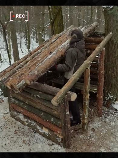 Building a Comfortable Log Home for Survival