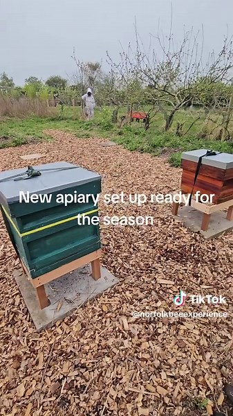 New Apiary Setup for Norfolk Beekeeping Season