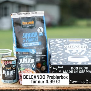 Bestes Futter für Deinen Junior! "Top Haustiermarke" sagt das VOX-Magazin hundkatzemaus – überzeug Dich jetzt selbst mit der Probierbox mit 56 % Rabatt! Teste Dich durch unser hochwertiges Nass- und Trockenfutter "Made in Germany" 🐾 | BELCANDO