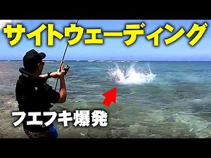 【夏の沖縄リーフ】ウェーディングでサイトフィッシング | Wading Fishing in Okinawa