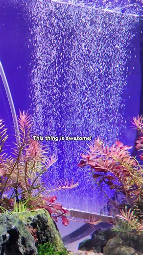 Aquarium Bubble Therapy: Transform Your Fish Tank