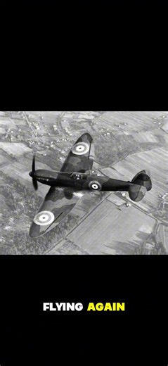 The Pilot Who Refused to Stay Grounded #history #ww2 #britishsoldier #militaryhistory #army