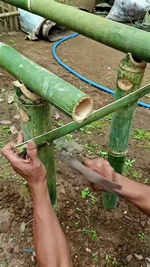 DIY Bamboo Rabbit Palace: From Scratch to Bunny Home! 🐰 #Shorts #DIY #Bamboo