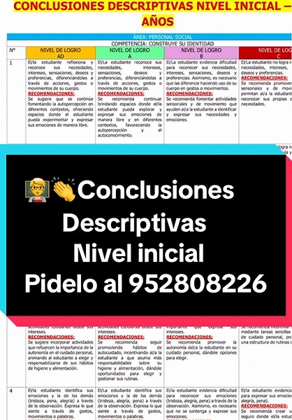 Conclusiones Descriptivas Nivel Inicial 2024 en Perú
