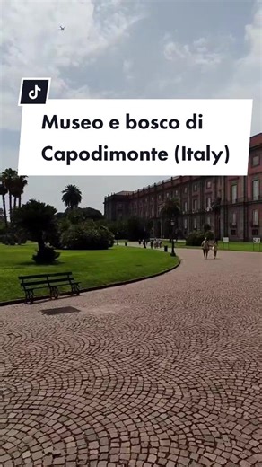 Esplora il Museo e Bosco di Capodimonte a Napoli