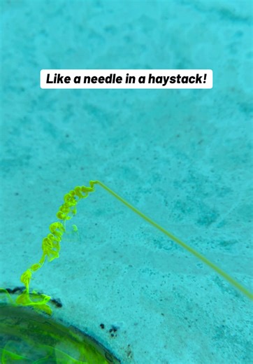 Dye testing is a low tech, but extremely efficient method to determine whether a suspected Leak point is actually losing water. The dye simply colors the water to let you visually see if it’s exiting through the suspected leak point.