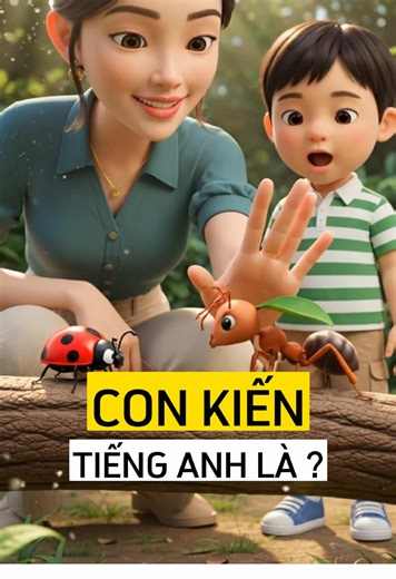 Học từ vựng các loài côn trùng tiếng Anh dễ nhớ Butterfly, Bee, Ladybug, Ant, Dragonfly, Grasshopper #hoctienganh #hoctienganhdenho