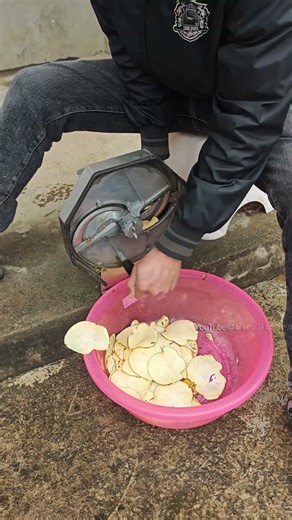 キッチンのアップグレードに欠かせないもの。 効率的なスライス ツール。