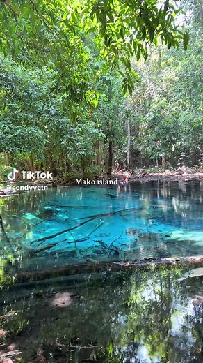 Explore Mako Island: A Hidden Mermaid Paradise