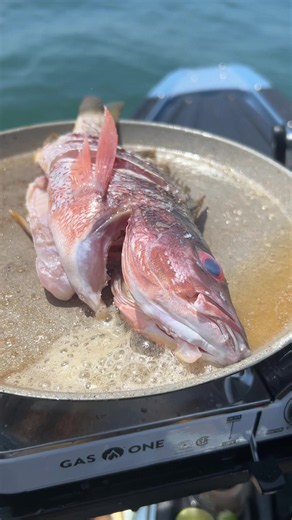 Pargo frito: cómo lograr el mejor sabor y frescura