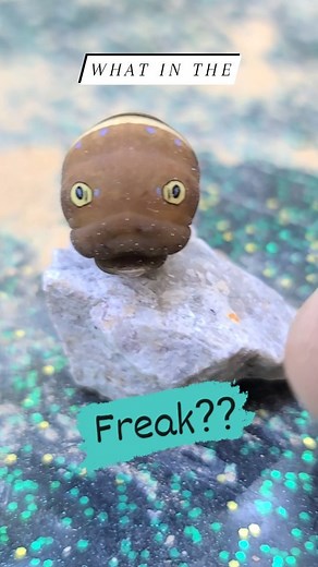 What in the world is this? Possibly an alien 👽 come to suck my brain? #alien | BleepinJeep.com