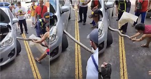 A snake was found at a Starbucks parking lot in Parañaque, to people’s amusement | Coconuts