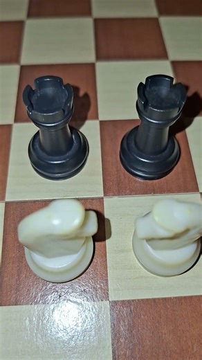 Chessmaster in real life asmr video part 2 #chess #crafts #real-life #fortnite #Minecraft