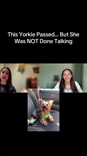 The Unbreakable Bond: Animal Communication Beyond Life