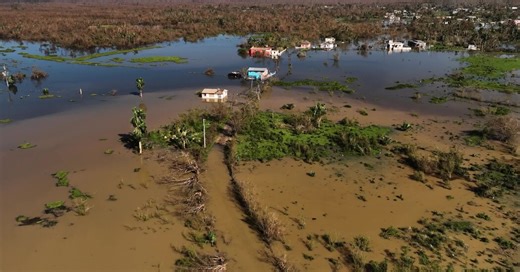 Melissa deja inundaciones en Jamaica que comienzan a ‘infestarse’ por ganado muerto