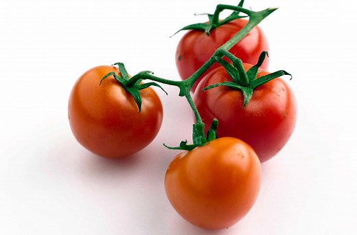 How to Grow Tumbling Toms