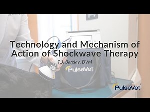 Technology and Mechanism of Action of Shockwave Therapy