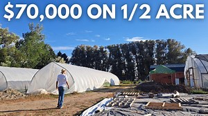 I Grew $70,000 Worth of Food on 1/2 Acre of Land — Here's How