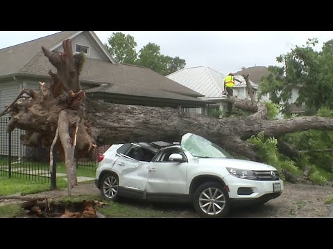 If a neighbor’s tree falls on your fence/car/house who is responsible? Ask Amy