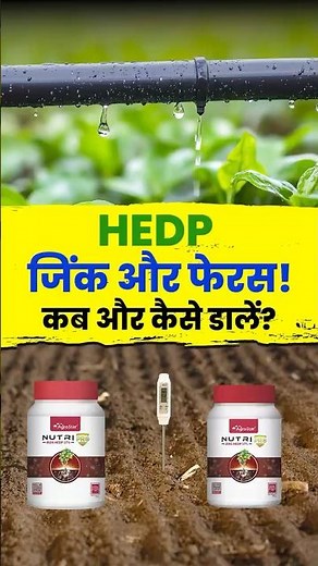🚜 One solution for every crop – the magic of HEDP Fertilizer! 💧 #micronutrient #HDEP