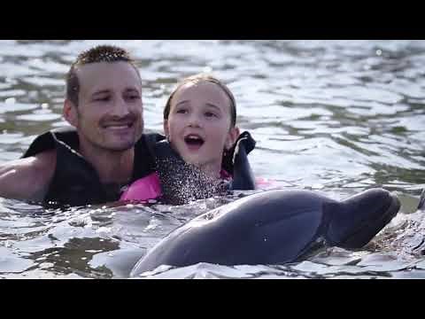 Dolphin Cove Grand Cayman - Swim with Dolphins