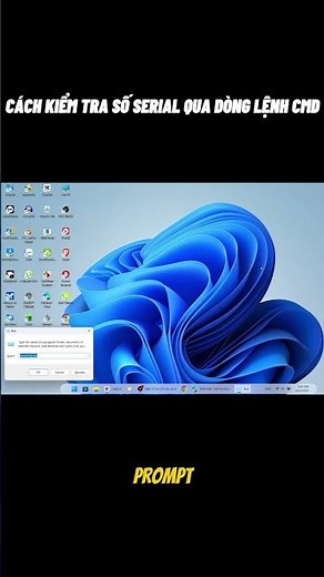 Cách kiểm tra số serial qua dòng lệnh CMD
