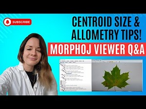 Answering Viewer Questions: Centroid Size Scaling, Allometry, and Distance Matrix in MorphoJ