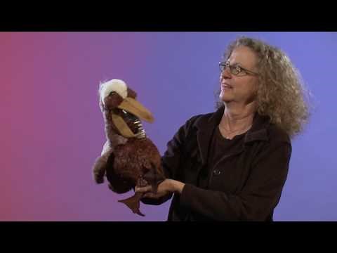 Folkmanis® Pelican Puppet Demo - Retired