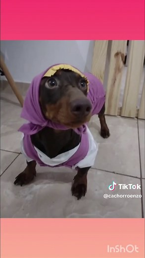 Memes do Brasil no TikTok