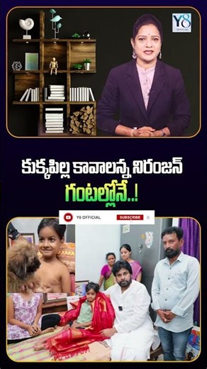 Niranjan asked for a puppy...! In just hours..? @Y8official_8 #pawankalyan #dog #warangal #viral