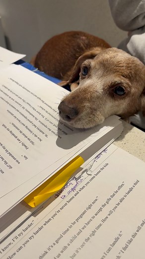 Sookie, Fani’s dog was snoring loud, but when I turned on the camera she woke up. Spunky, my dog was looking into the abyss. We edited three chapters today. We were on a roll. Four more left to finish the second edits. #amwriting We have a Sunday tired look so our dogs 🐕 save the day while words flow easier with paws by our side. 📖📖📝📝📝 People keep asking what our story is about…It’s contemporary fiction: Five lives entwined, three best friends —a brotherhood, bound by childhood loyalty, bu