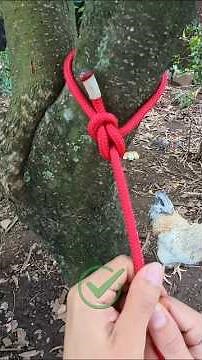 Learn how to tie a bowline #lifehacks #lifeskills #rope (▶9)