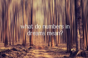Numerology: Numbers in Dreams