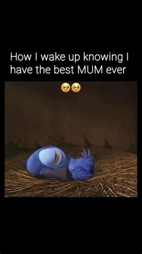 MANKUSH.MEENA. 🙏 on Instagram: "Love you MUM ❤ 🎬 Rio (2011) is a colorful family adventure about Blu, a rare blue macaw raised in Minnesota who can’t fly. Believed to be the last of his kind, Blu travels with his owner Linda to Rio de Janeiro to meet Jewel, a wild macaw. The trip turns chaotic when smugglers capture the birds, forcing Blu and Jewel to escape together. Through samba-filled streets, jungle hideouts, and carnival chaos, Blu learns courage, friendship, and freedom. With help from