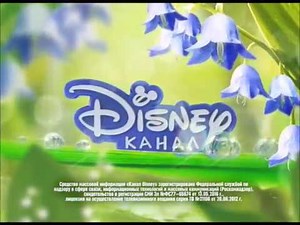 ☀️ Disney Channel Russia ident with registration certificate (summer 2018-2020)