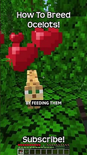 How To Breed Ocelots In Minecraft?!