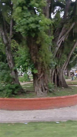 Conheça a Praça dos Andradas: O coração histórico de Santos! 🏛️✨ #Santos #CentroHistorico