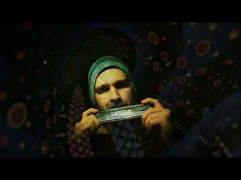 Harmonica Ayahuasca - Yagé - Big Hohner Echo Harp