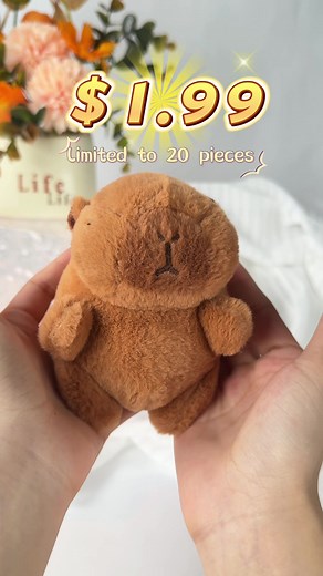 Your capybara doll bag pendant#fyp #gift #cute #toy #plush #doll