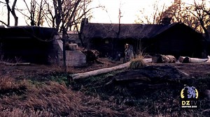 It’s a whole different zoo when the sun goes down. Zoo Lights sells out every year, so book online or in advance to secure your spot, and stay tuned to find out which animals should be on your MUST SEE list, and which animals might be asleep (like lions). https://bit.ly/2Su0pdy | Denver Zoo Conservation Alliance