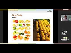 Hi Tech Citrus Cultivation with Jain Technology