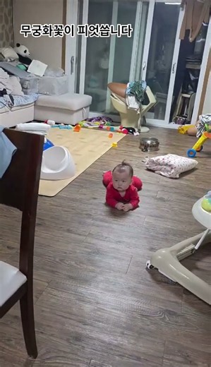 무궁화꽃이 피었습니다 #귀여움한도초과 #외손자 #귀여워 #아기 #귀염둥이 #baby #귀여운 #귀여운영상 #귀여움 #돌아기 #육아일기 #아기쇼츠 #귀염뽀작 #귀여운영상 #건강